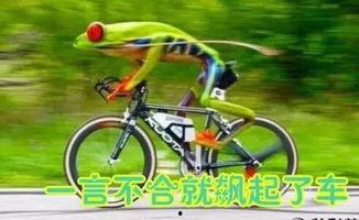 娱乐吃瓜酱自行车,自行车界的潮流新宠